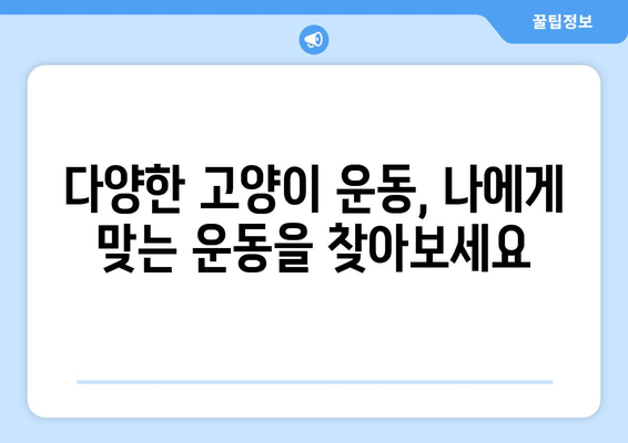 고양이 건강을 위한 운동법| 필수 이유와 다양한 종류 | 고양이 운동, 실내 운동, 야외 운동, 건강 관리