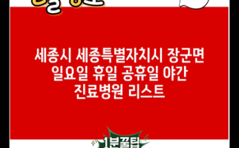 세종시 세종특별자치시 장군면 일요일 휴일 공휴일 야간 진료병원 리스트