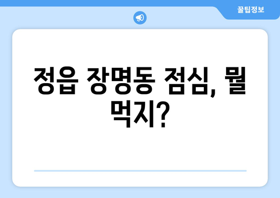 전라북도 정읍시 장명동 점심 맛집 추천 한식 중식 양식 일식 TOP5