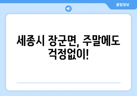 세종시 세종특별자치시 장군면 일요일 휴일 공휴일 야간 진료병원 리스트