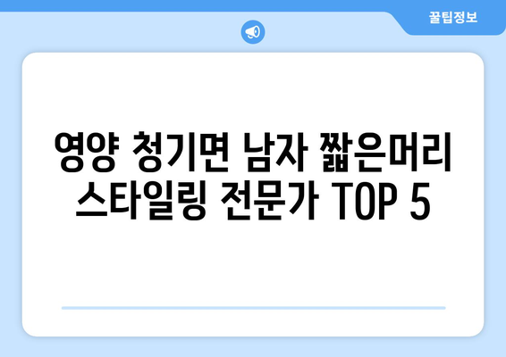 경상북도 영양군 청기면 남자 짧은머리 바버샵 잘하는 곳 추천 TOP 5