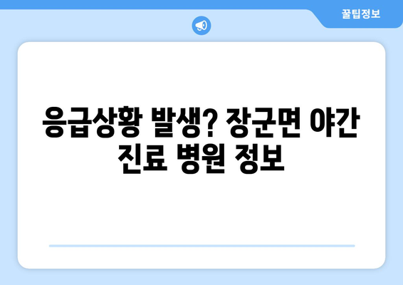 세종시 세종특별자치시 장군면 일요일 휴일 공휴일 야간 진료병원 리스트