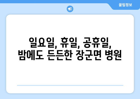 세종시 세종특별자치시 장군면 일요일 휴일 공휴일 야간 진료병원 리스트