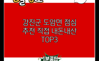 강진군 도암면 점심 추천 직접 내돈내산 TOP3