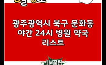 광주광역시 북구 문화동 야간 24시 병원 약국 리스트