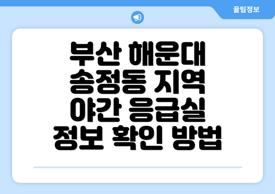 부산 해운대 송정동 지역 야간 응급실 정보 확인 방법