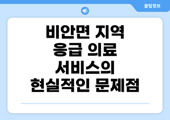 비안면 지역 응급 의료 서비스의 현실적인 문제점