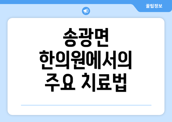 송광면 한의원에서의 주요 치료법