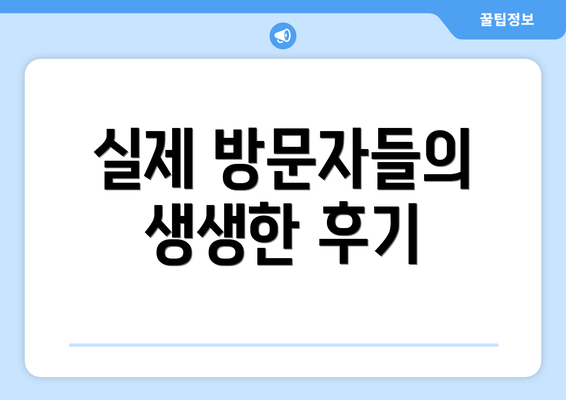 실제 방문자들의 생생한 후기