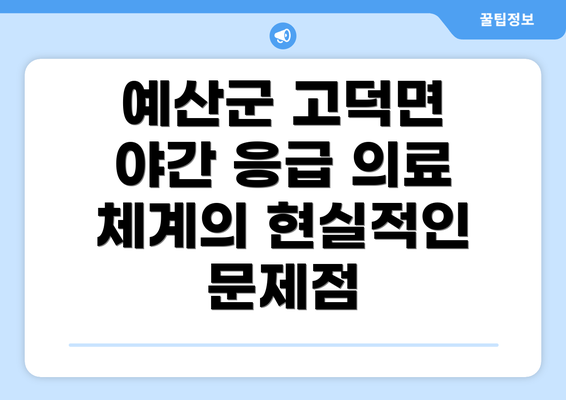 예산군 고덕면 야간 응급 의료 체계의 현실적인 문제점