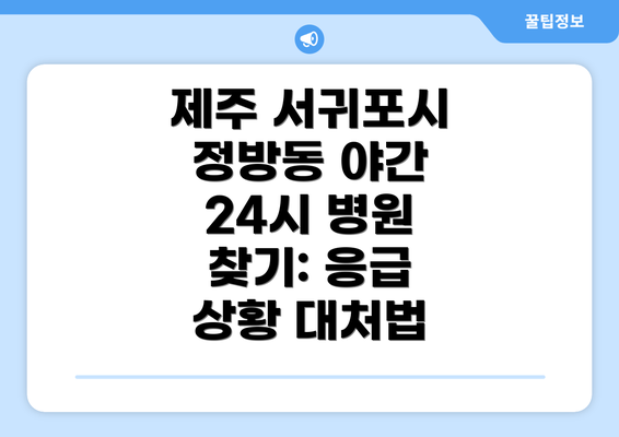 제주 서귀포시 정방동 야간 24시 병원 찾기: 응급 상황 대처법