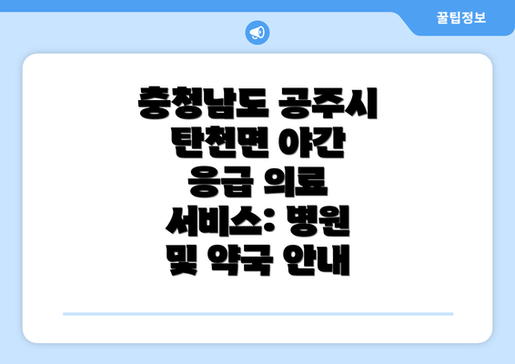 충청남도 공주시 탄천면 야간 응급 의료 서비스: 병원 및 약국 안내