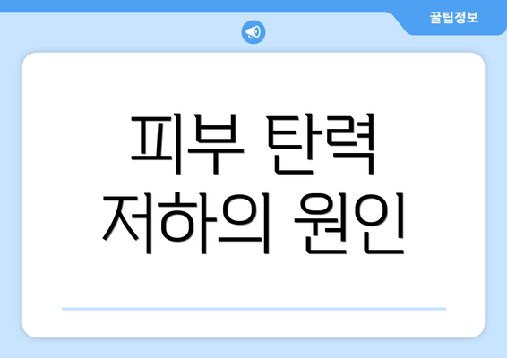 피부 탄력 저하의 원인