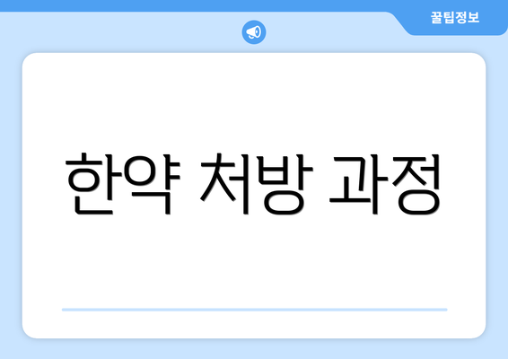 한약 처방 과정